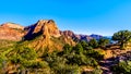 View of the Shuntavi Butte and other Red Rock Peaks of the Kolob Canyon part of Zion National Park, Utah, United Sates