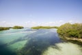 View of Sian Ka'an national park