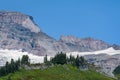 View of side of Mt. Rainier, and meadow, from Skyline Trail at Paradise area