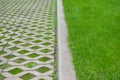 View of sidewalk path and fresh green grass on sunny day. Footpath covering