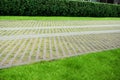 View of sidewalk path and fresh green grass on sunny day. Footpath covering