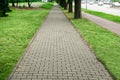 View of sidewalk path and fresh green grass on sunny day. Footpath covering Royalty Free Stock Photo