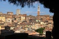 View on Siena highest tower `Torre del Mangia`