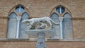 View on Siena she-wolf Royalty Free Stock Photo