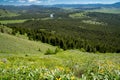 View from the SIgnal Mountain overlook in Grand Teton National Park - large forested area, with the Snake River flowing through Royalty Free Stock Photo