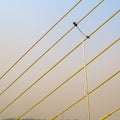 View of the Signature bridge being constructed across the Yamuna river in New Delhi India