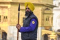 View of a Sikh devotee as holy guard in the golden temple shri Harmandir Sahib in Amritsar, India Royalty Free Stock Photo