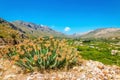 View on silent green valey with grapes plantations on Greek Island, Greece