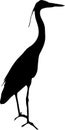 View on the silhouette of a gray heron Royalty Free Stock Photo