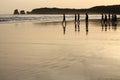 View on silhouette of group of people surfers heating up going to ocean in sunrise Royalty Free Stock Photo