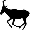 View on the silhouette of a red hartebeest Royalty Free Stock Photo