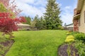 View of simple fenced backyard