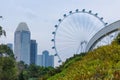 View of the Singapore skyli