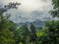 View of the Singapore skyline from the forest on Mount Faber Royalty Free Stock Photo