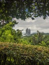 View of the Singapore skyline from the forest on Mount Faber Royalty Free Stock Photo