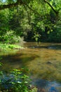 The Sioule river in summer flows between the trees Royalty Free Stock Photo