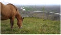 Scenery of icelandic nature Royalty Free Stock Photo