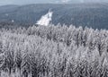 View of the ski jump in Klingenthal in winter