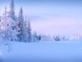 View from the ski slope of the snowy trees, snowdrift of snow in the form of a bear and mountains in the fog in the early morning Royalty Free Stock Photo