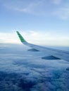 View of the airplane wing from the window