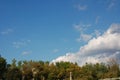 View of sky and woods in the distance