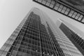 View of skyscraper in black and white. Downtown Toronto in Ontario Royalty Free Stock Photo