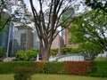 View of the skyscrapers from the square near the Imperial Palace Royalty Free Stock Photo