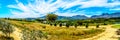 View of the Slanghoekberge Mountain Range along which the Bainskloof Pass runs between the towns Ceres and Wellington