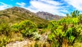 View of the Slanghoekberge Mountains from the scenic Bainskloof Pass between the towns Ceres and Wellington