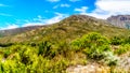 View of the Slanghoekberge Mountains from the scenic Bainskloof Pass between the towns Ceres and Wellington