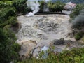 View of the slope of the caldera with hot springs in the town Furnas