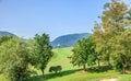 View of a sloping field of Zlati Gric Golf Course with trees on a sunny day in Slovenia