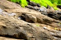 view small canal above waterfall is dry with stone Royalty Free Stock Photo