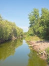 View of small canal in a mangrove forest Royalty Free Stock Photo