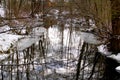 View of a small creek in a forest during winter Royalty Free Stock Photo