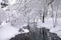 A view at a small creek in Hillsboro park, Oregon after a massive snowfall. Royalty Free Stock Photo
