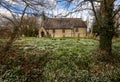 Snowdrops in front of a small English church. Royalty Free Stock Photo