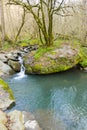 View of small forest pond with stones Royalty Free Stock Photo