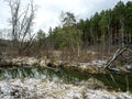 view of a small forest river near a pine forest in the Middle Urals at the beginning of winter