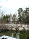 view of a small forest river near a pine forest in the Middle Urals at the beginning of winter