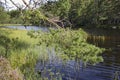 View of a small idyllic pond in a Swedish forest