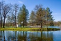 Small island in the park with trees reflection in the water Royalty Free Stock Photo