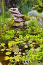 View of a small japanese pond with lillypads, fresh green aquatic plants, reeds and succulents growing in a backyard at Royalty Free Stock Photo