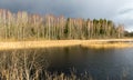 View of small lake in early spring, sunlight shining on trees Royalty Free Stock Photo