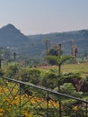 view of small mountains, flowers and trees in the morning