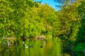 View of a small pond in the Saint Stephen's Green park in Dublin, Ireland Royalty Free Stock Photo