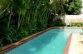 View of a small pool in a tropical setting. Royalty Free Stock Photo