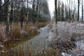 View of a small river in the forest in late autumn. First snow. Early winter Royalty Free Stock Photo