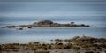 View of a small rocky island showing up during low tide Royalty Free Stock Photo