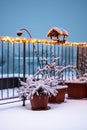 View of small roof garden with plants and wooden birdhouse feeder covered by christmas lights. Snow and cold weather during winter